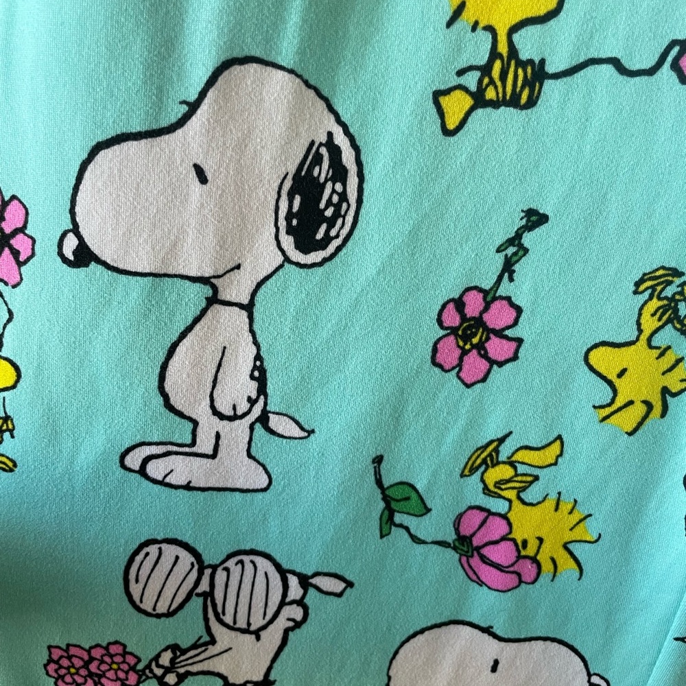 Peanuts Woman’s Pajamas/Lounge Pants- Aqua with Snoopy and Woodstock - Picture 3 of 3